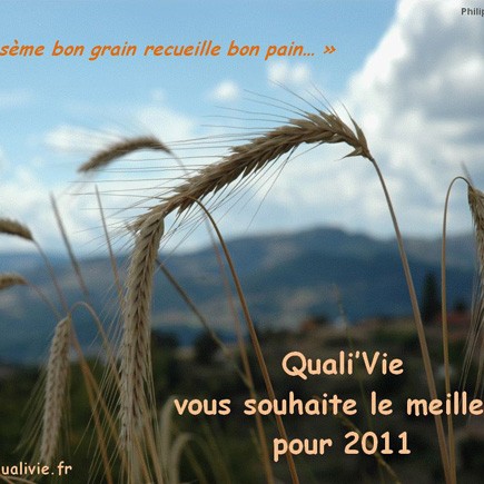 Bonne année 2011