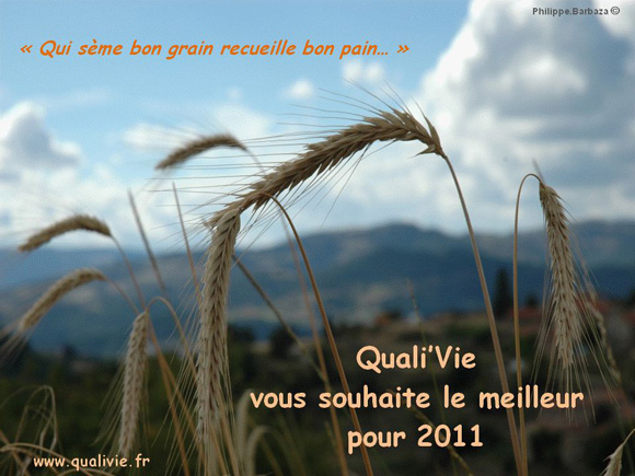 Bonne année 2011