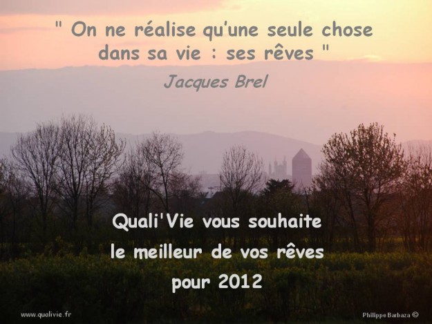 Voeux Qualivie 2012