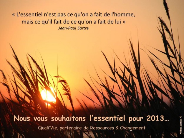 Qualivie R&C Voeux 2013