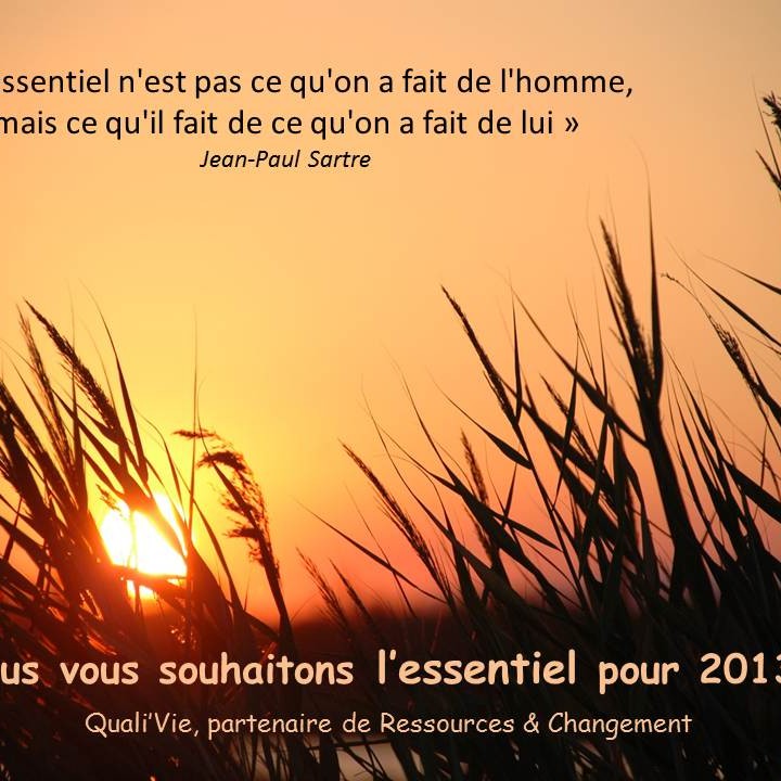 Qualivie R&C Voeux 2013