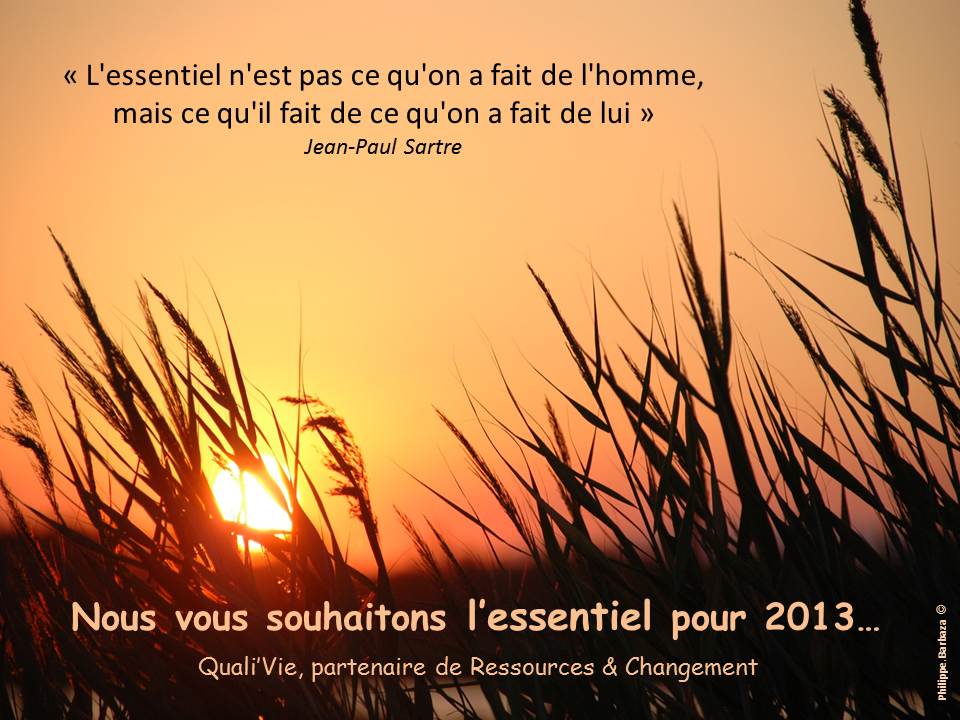 Qualivie R&C Voeux 2013