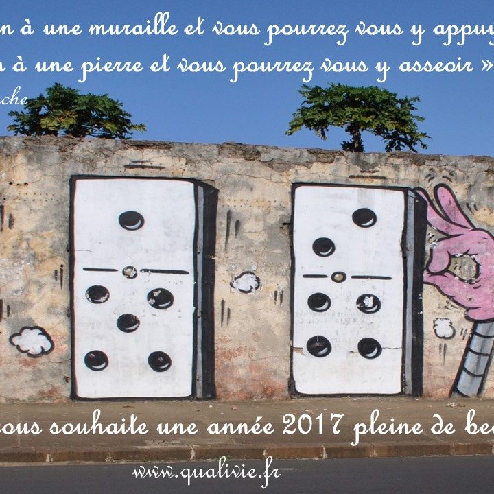 Vœux Quali'Vie 2017