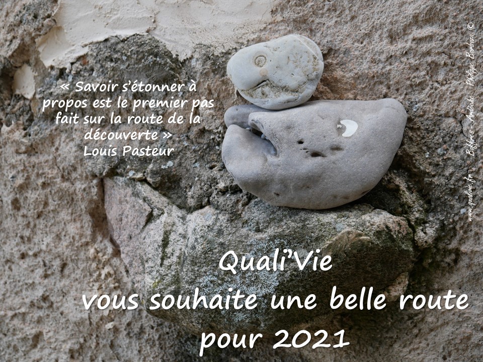 Voeux Qualivie 2021