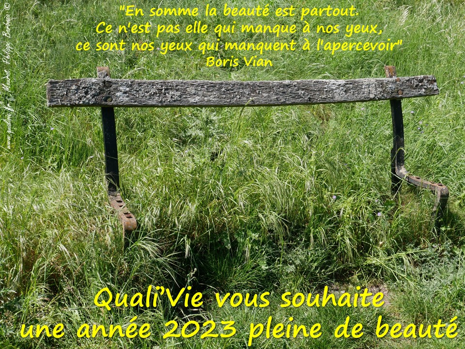 Voeux 2023 Qualivie
